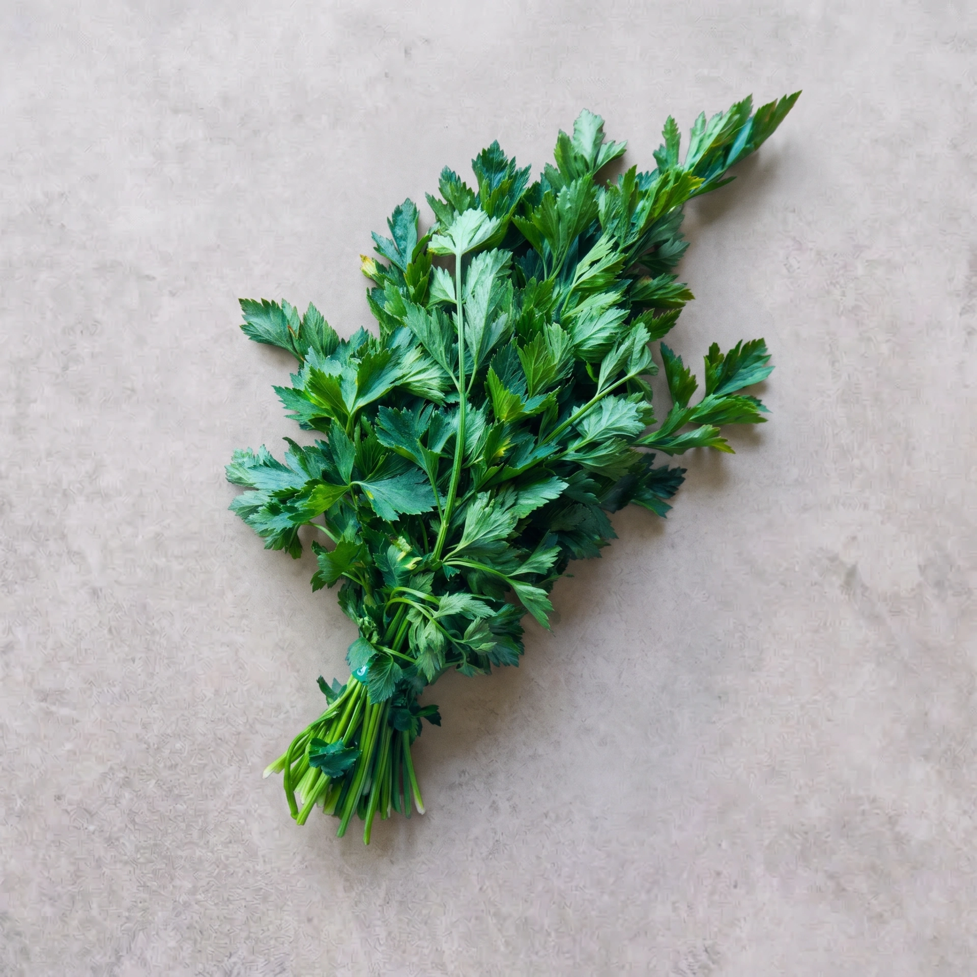 Celery