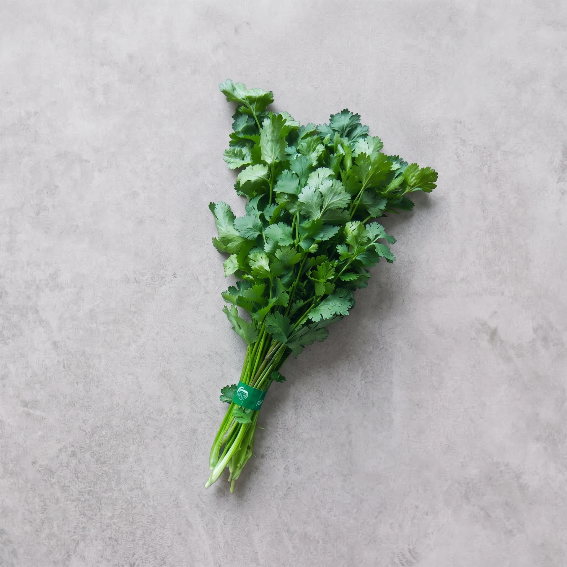 Coriander Leaf