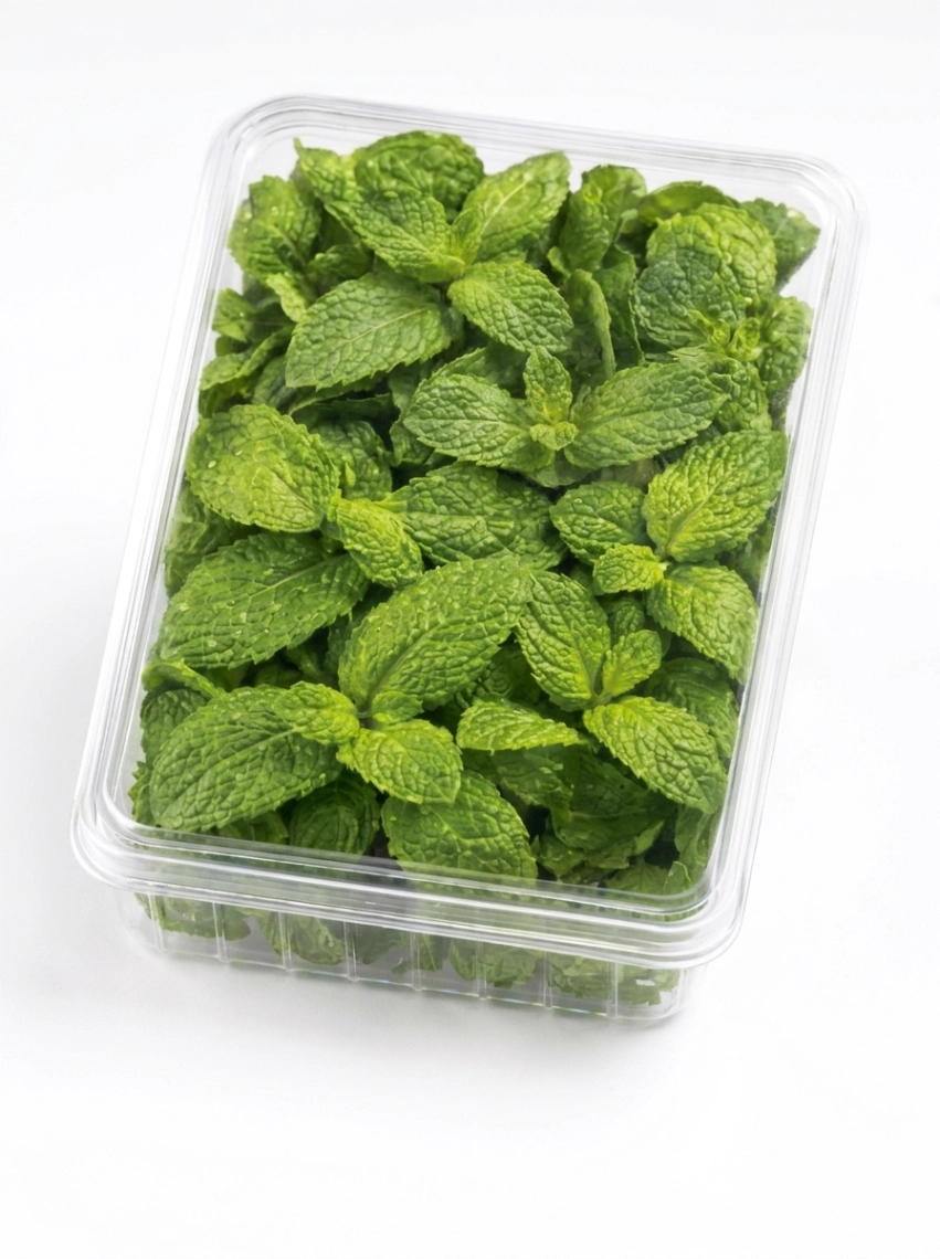Fresh Mint (100 g)