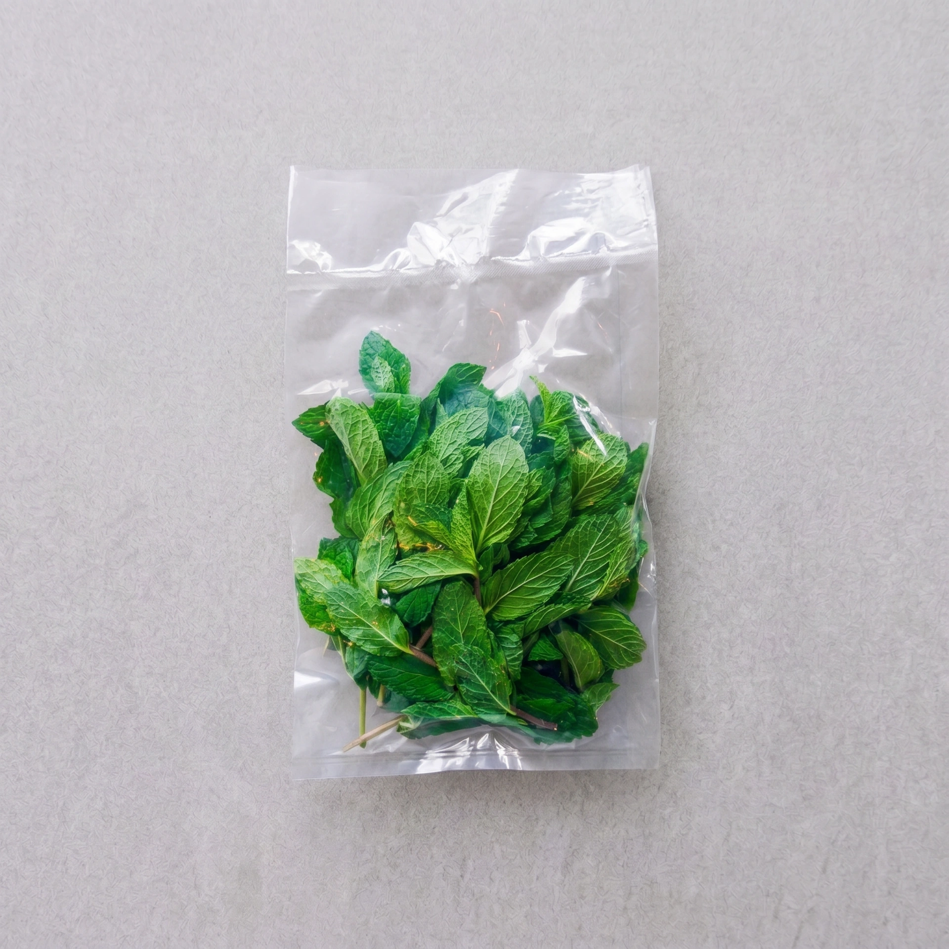 Fresh Mint