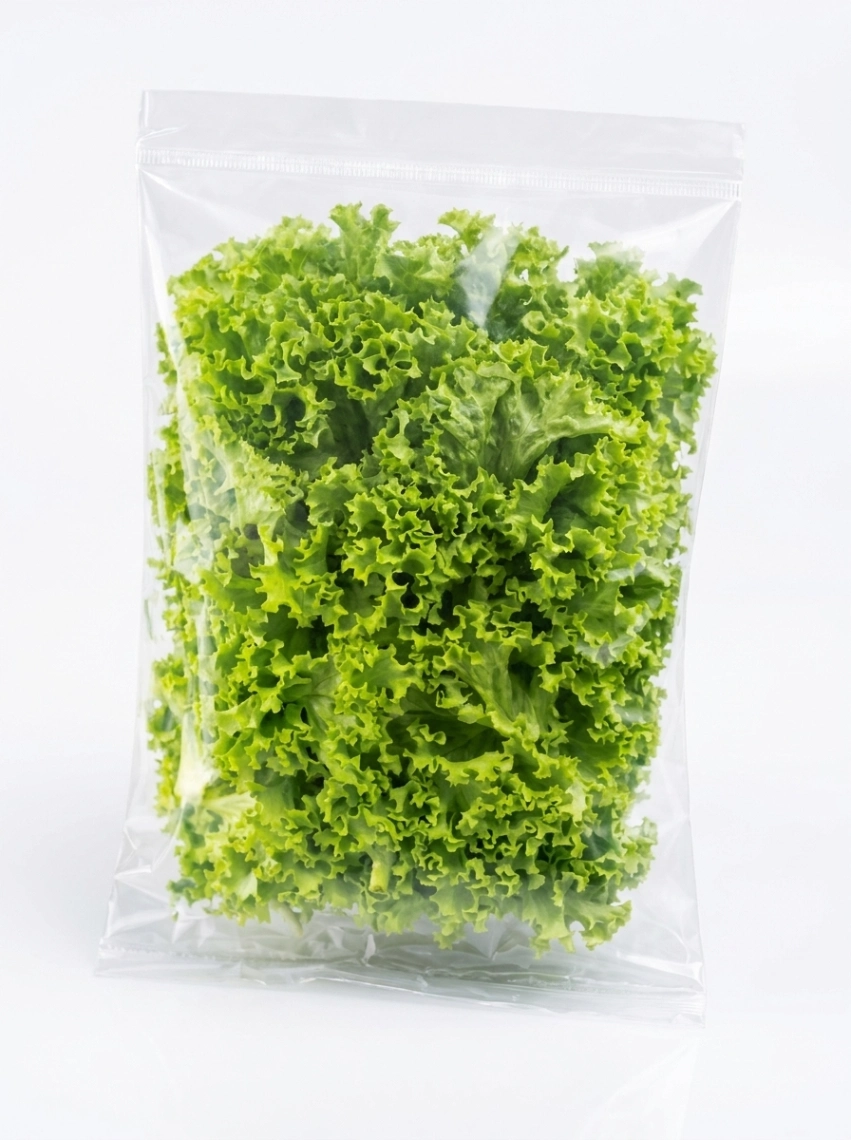 Green Curly Lettuce (250 g)