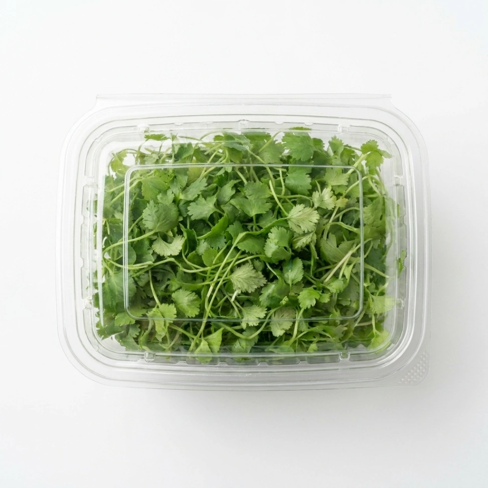 Micro green - coriander (pack)