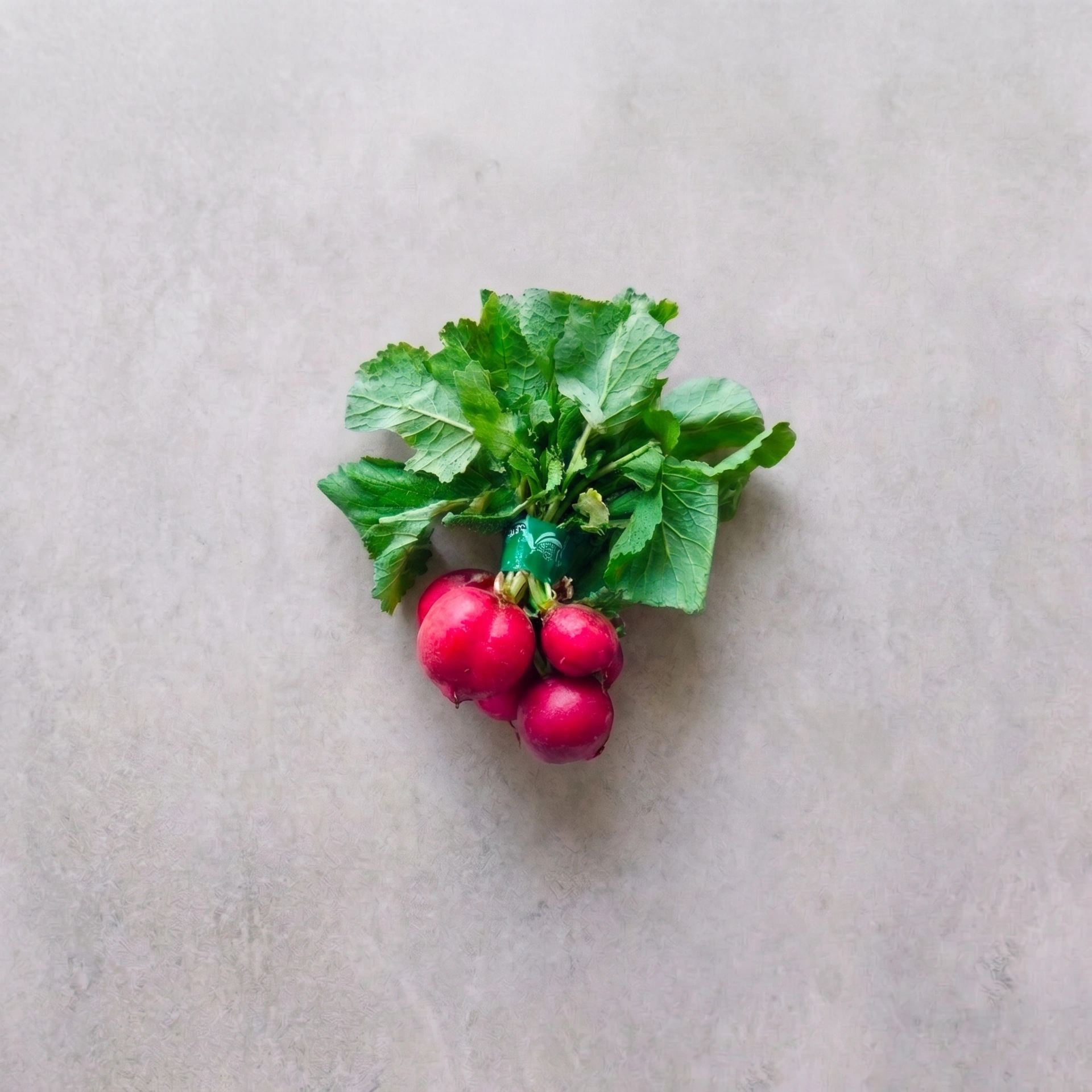 Red Radish